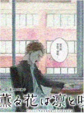 山猫侦探社动漫免费观看封面